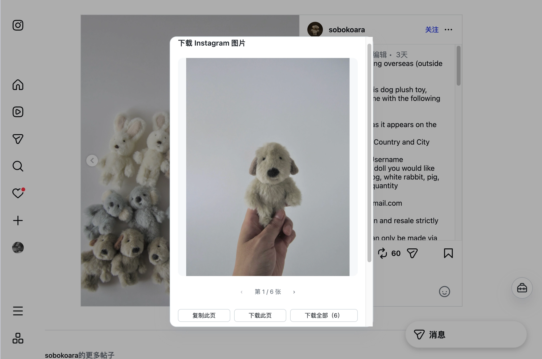 The Download Instagram images result dialog on an Instagram post page: image 1 of 6 is previewed in the middle, with Copy this image, Download this image and Download all (6) buttons below it
