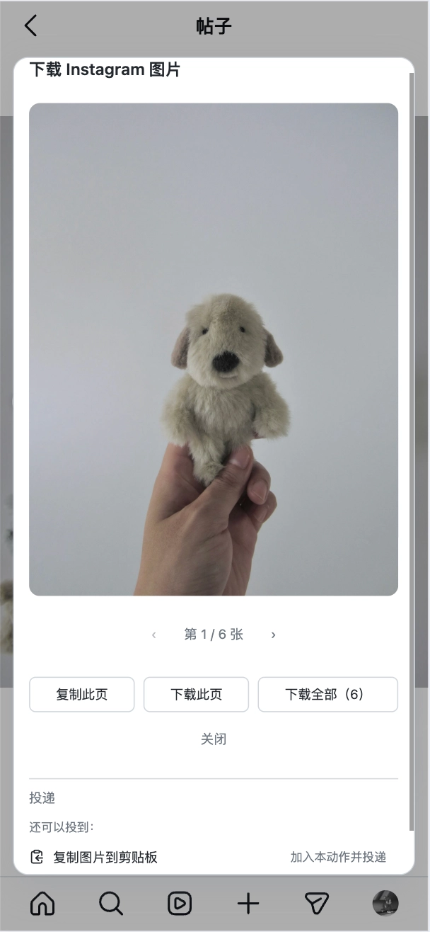 An Instagram post page in a phone browser with the Download Instagram images dialog open: image 1 of 6 previewed, with Copy this image, Download this image and Download all (6) buttons plus Close
